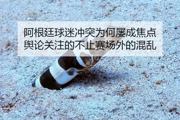 a-gen-ting-qiu-mi-chong-tu-wei-he-lv-cheng-jiao-dian-yu-lun-guan-zhu-de-bu-zhi-sai-chang-wai-de-hun-luan-2-121.jpg